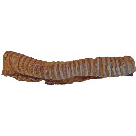 Teomann Dried Long Beef Trachea