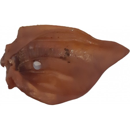 Teomann Dried Pork Ears