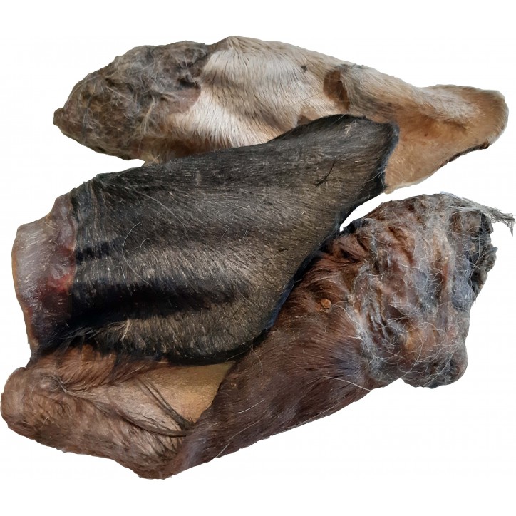 Teomann Dried Hairy Beef Ear Teomann Dried Hairy Beef Ear