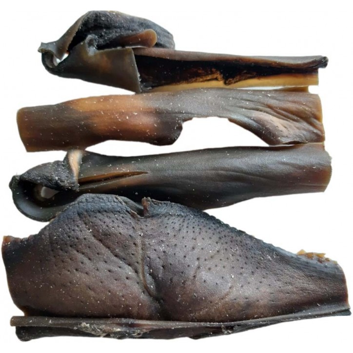 Teomann Dried Camel Head Skin Teomann Dried Camel Head Skin