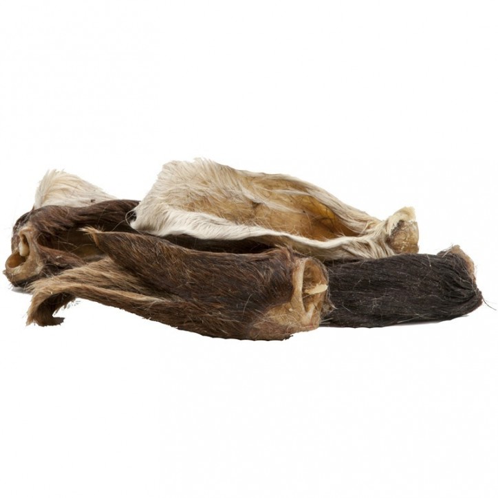 Teomann Dried Hairy Lamb Ear