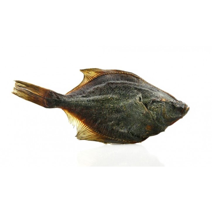 Teomann Dried Flatfish