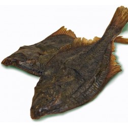 Teomann Dried Flatfish