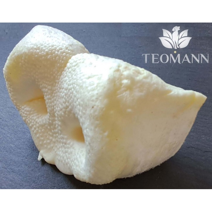 Teomann Puffed Pig Snout Teomann Puffed Pig Snout