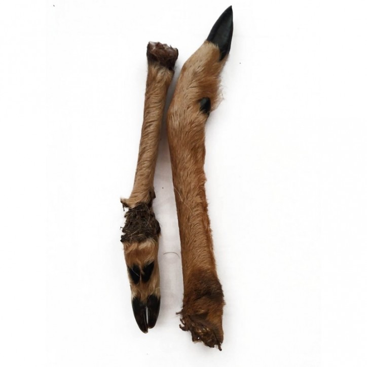 Teomann Dried Hairy Roe Deer Legs with Hooves Teomann Dried Hairy Roe Deer Legs with Hooves