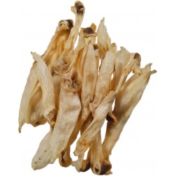 Teomann Dried Rabbit Ears